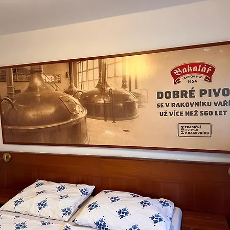 Pensjonat Pohostinstvi V Holi 2*